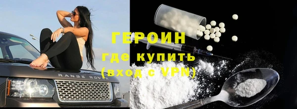 индика Дмитров