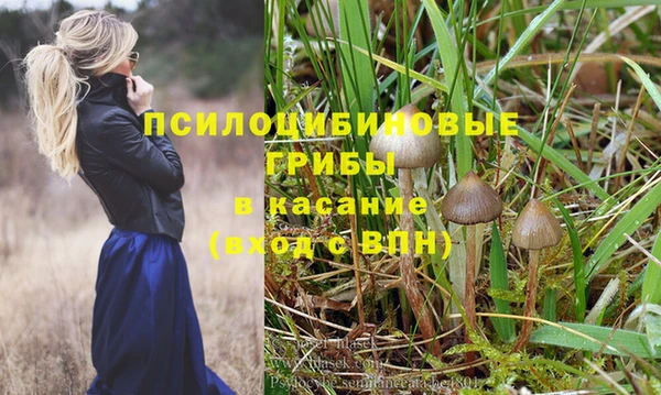 герыч Дмитриев