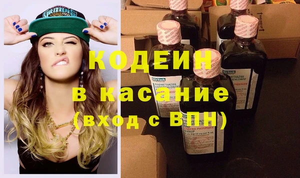 индика Дмитров