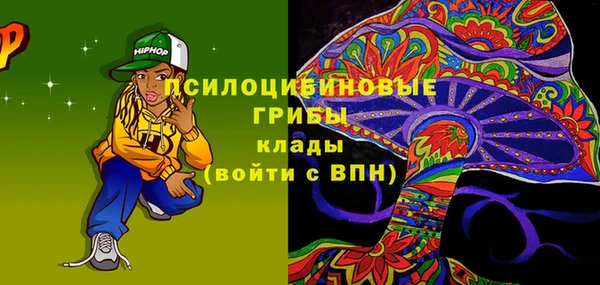 таблы Гусев