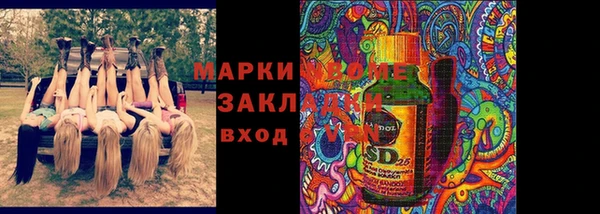 таблы Гусев