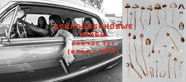 таблы Гусев