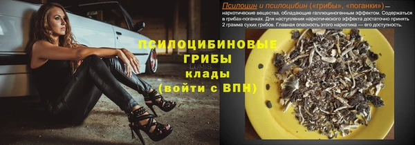 таблы Гусев